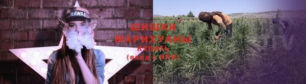 стаф Надым