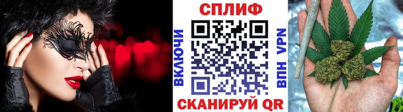 Купить где  Каргополь  Бошки марихуана гибрид 